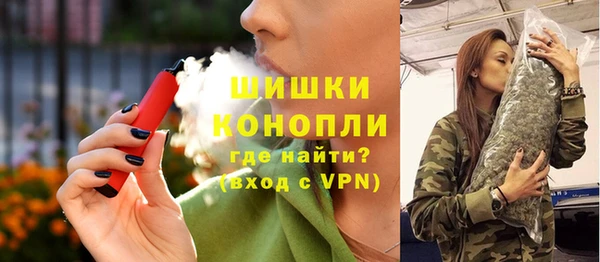 прущие грибы Алзамай